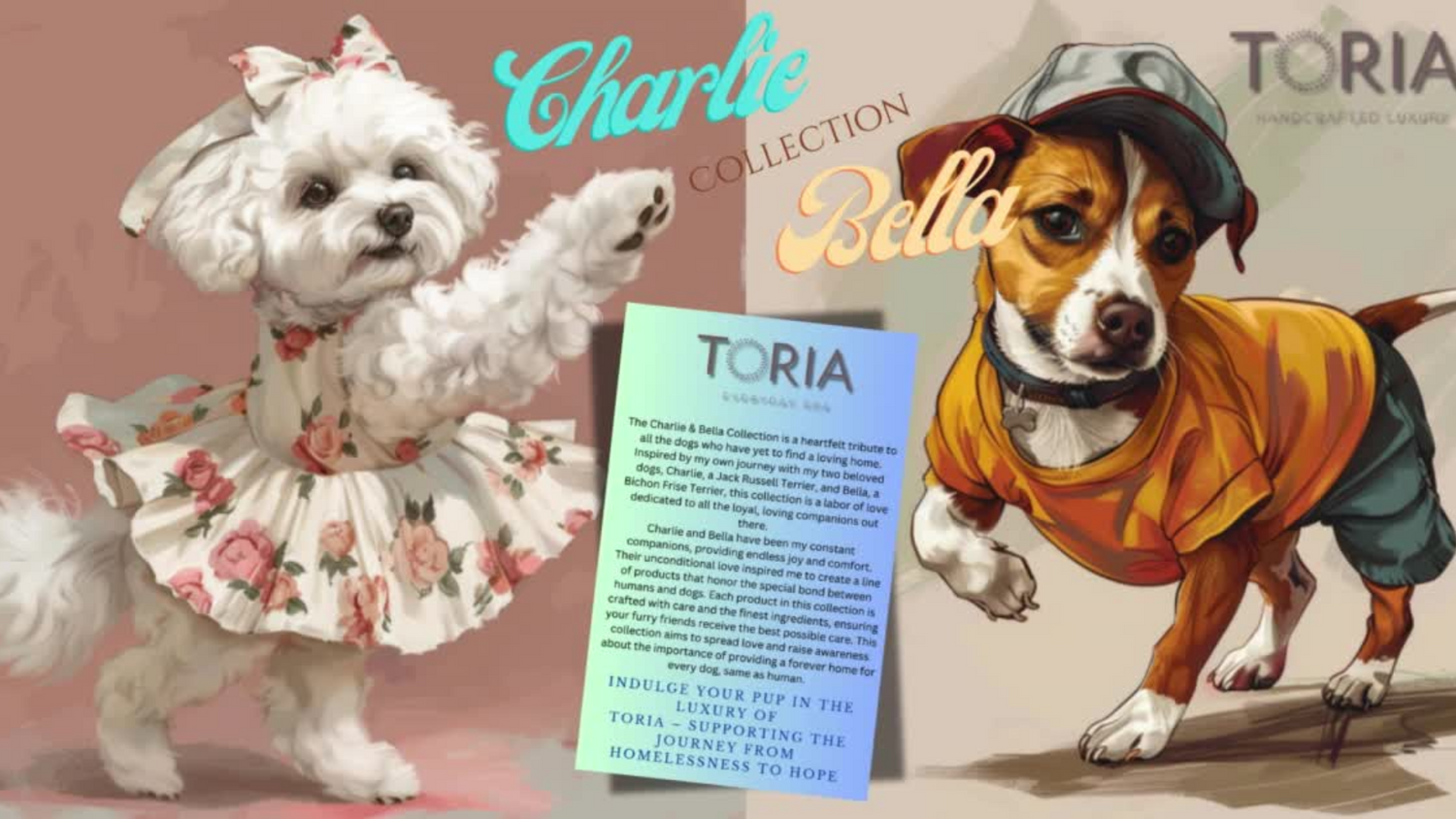Charlie & Bella NFT Collection: The Beginner Range